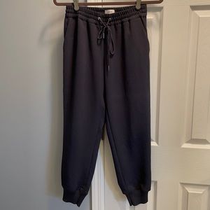 Wilfred Capri Pants, Silk Trim - XS - Like New